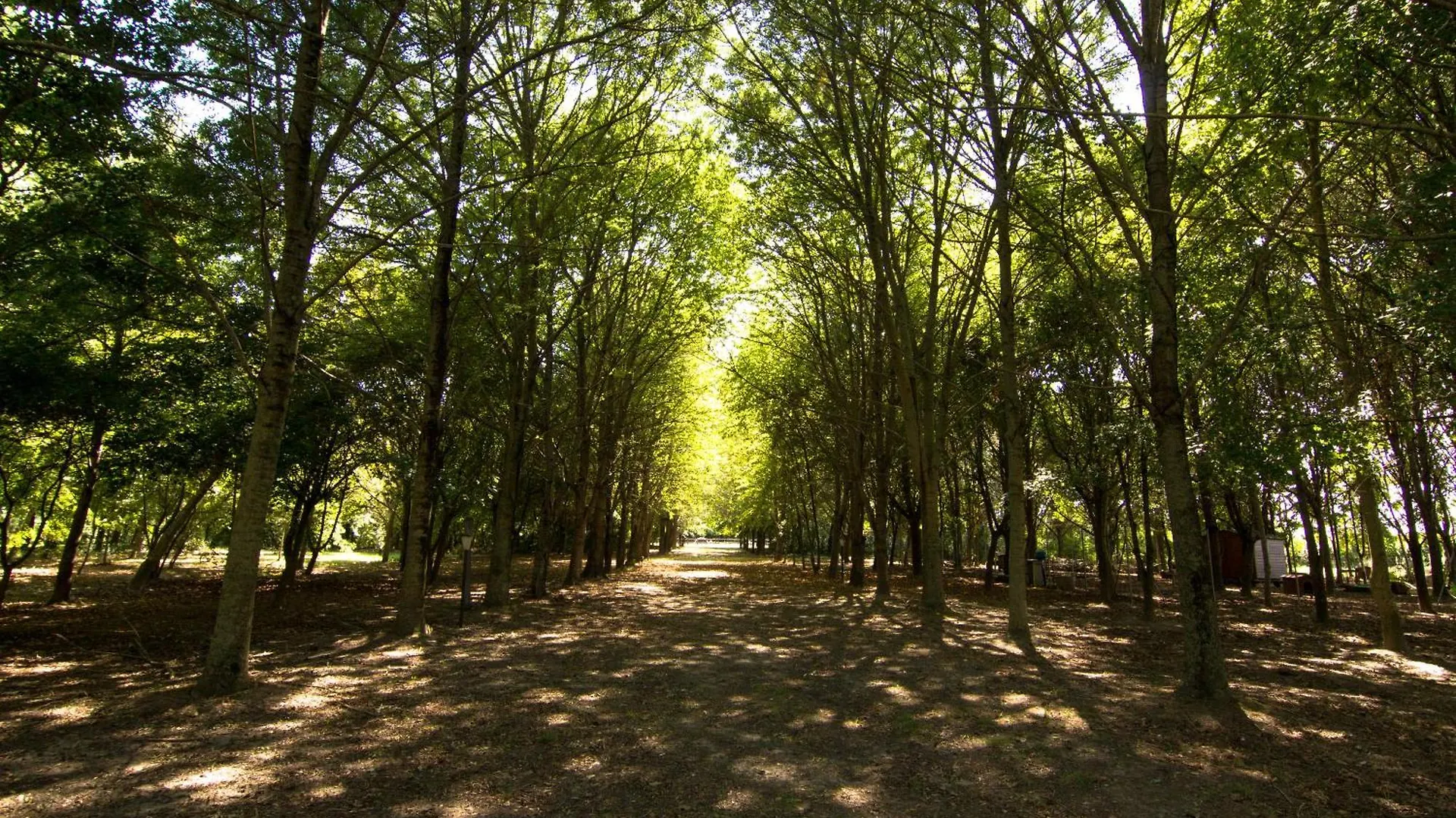 Casolare La Quercia Villa Correzzola Italy